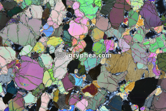 Péridotite LPA x3,5 - gryphea.com